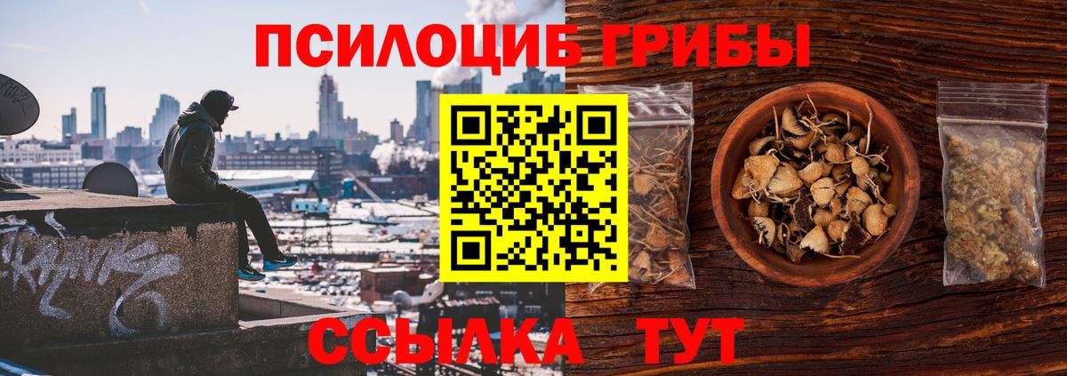 Псилоцибиновые грибы мицелий Сальск