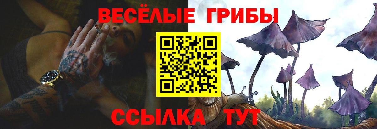 Сальск  Галлюциногенные грибы MAGIC MUSHROOMS  Вход с VPN 